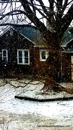 WP_20140227_14_01_20_Pro