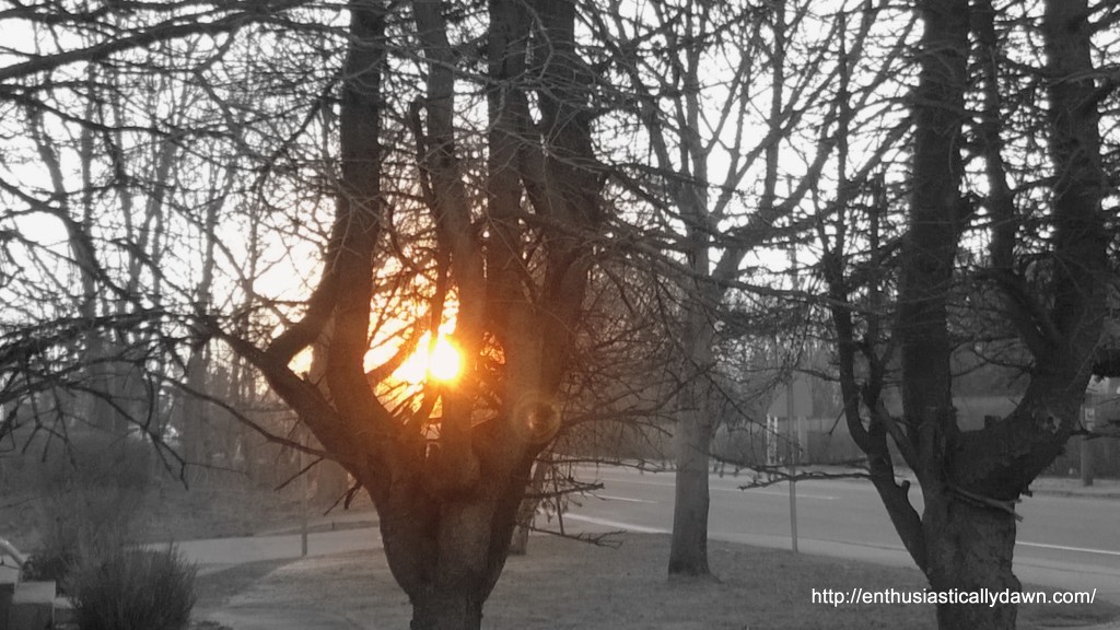 WP_20140301_06_33_39_Pro