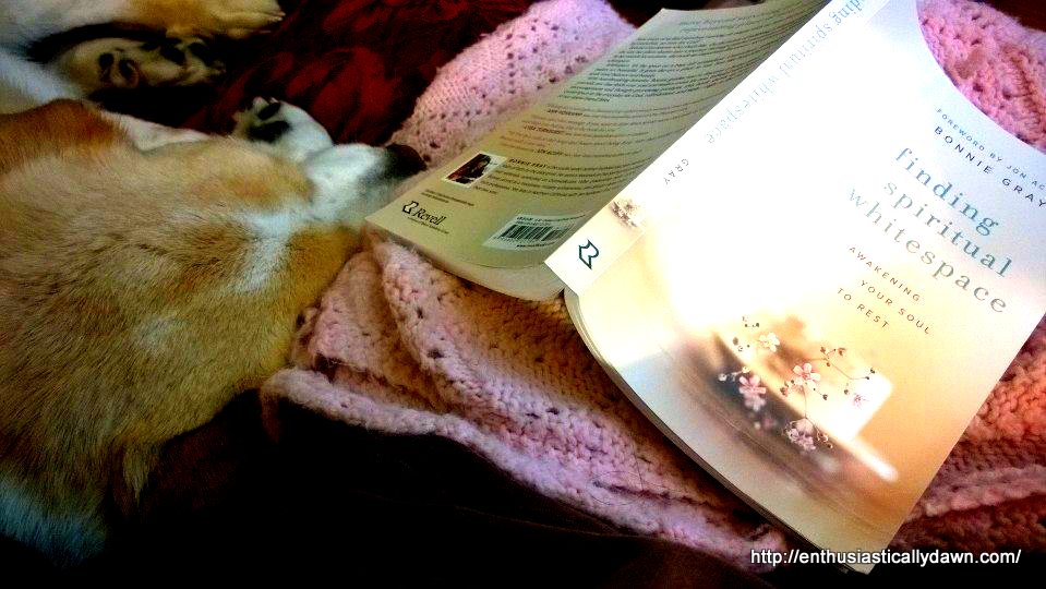 984095_10201038932294492_8264596934637460092_n (1)