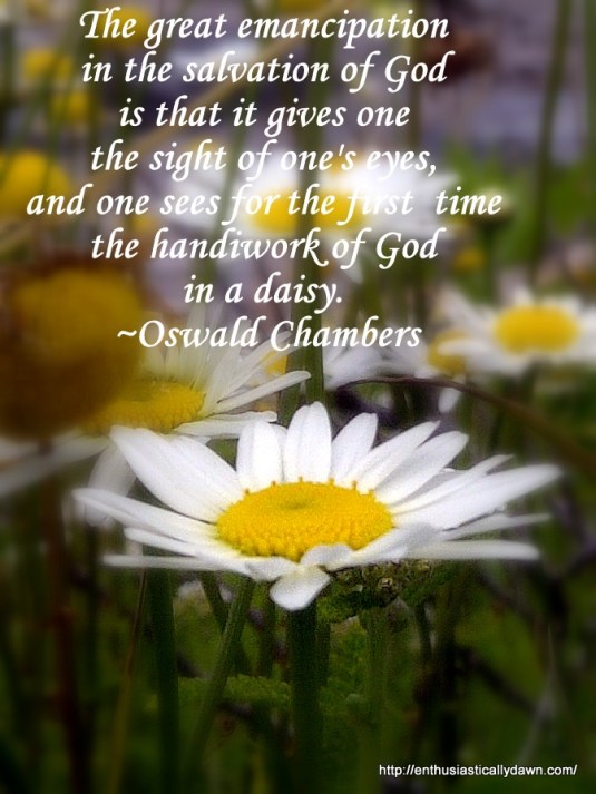 Jamestown-20120617-01125