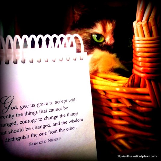 InstagramCapture_ac9b48ca-b2a5-4acf-b471-a0d4888eb27f