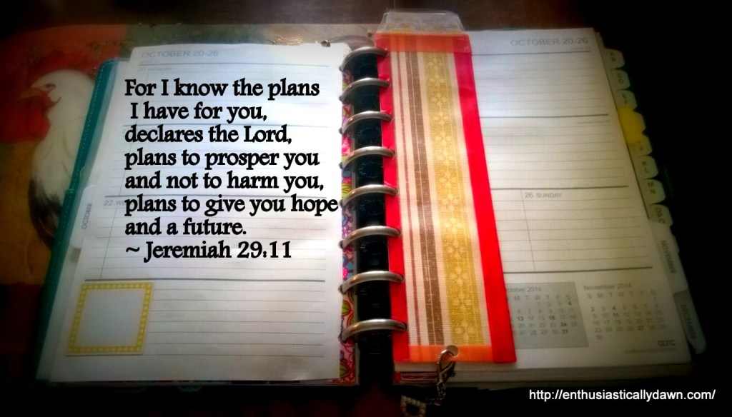 WP_20141018_10_44_36_Pro