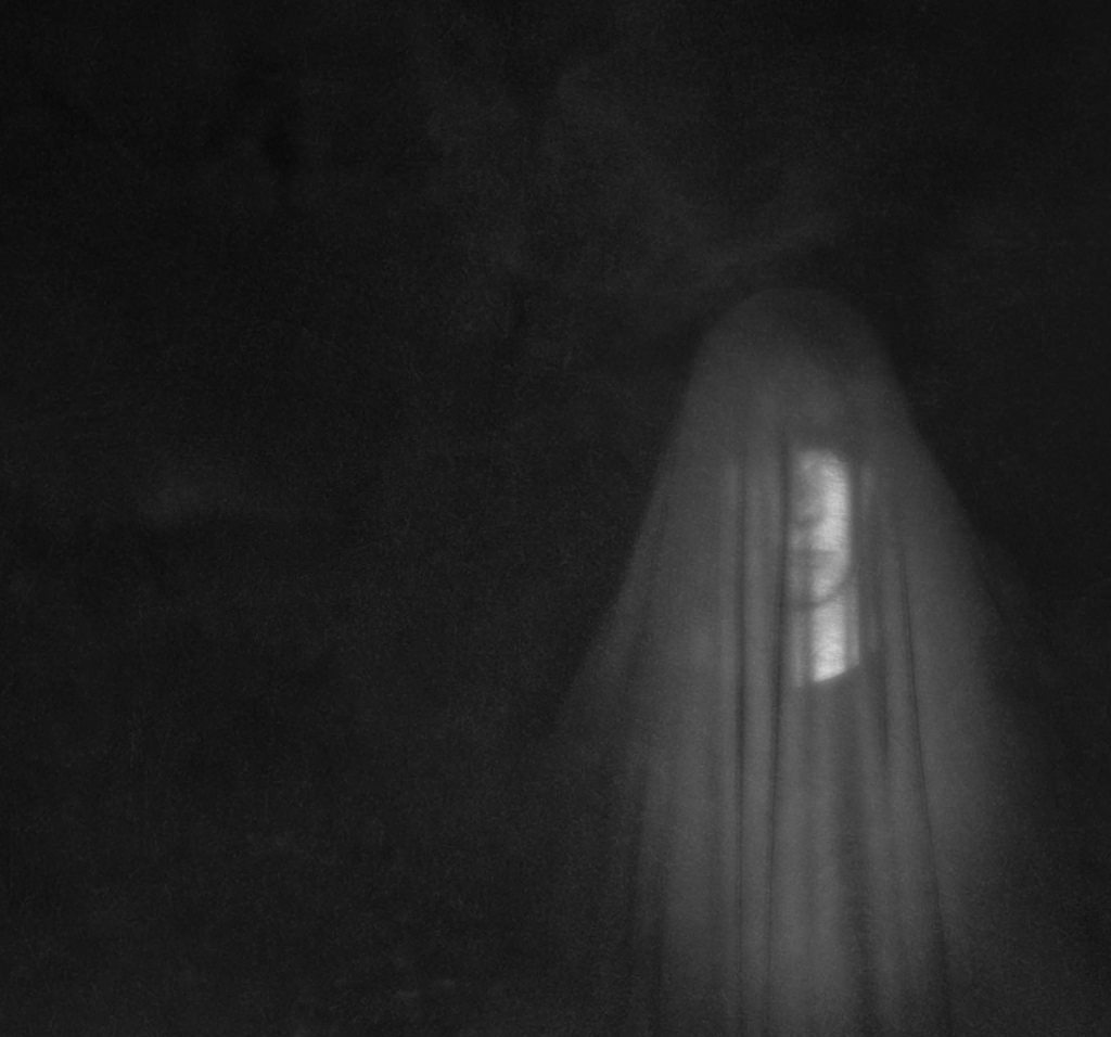 photo credit: emmm_weee via photopin cc