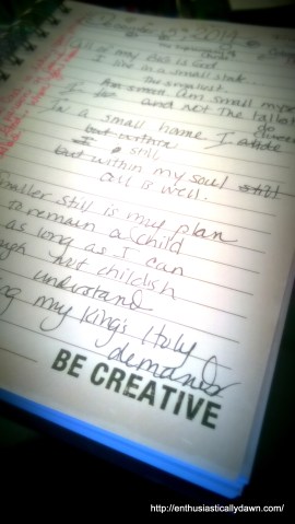 WP_20141205_10_35_35_Pro