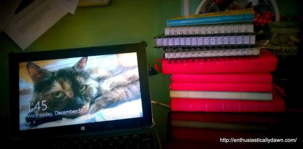 My stack of 2014 Journals and my muse Aurora as my screensaver. 