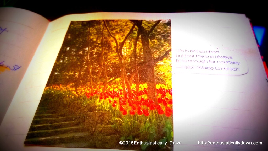 WP_20150206_16_28_18_Pro