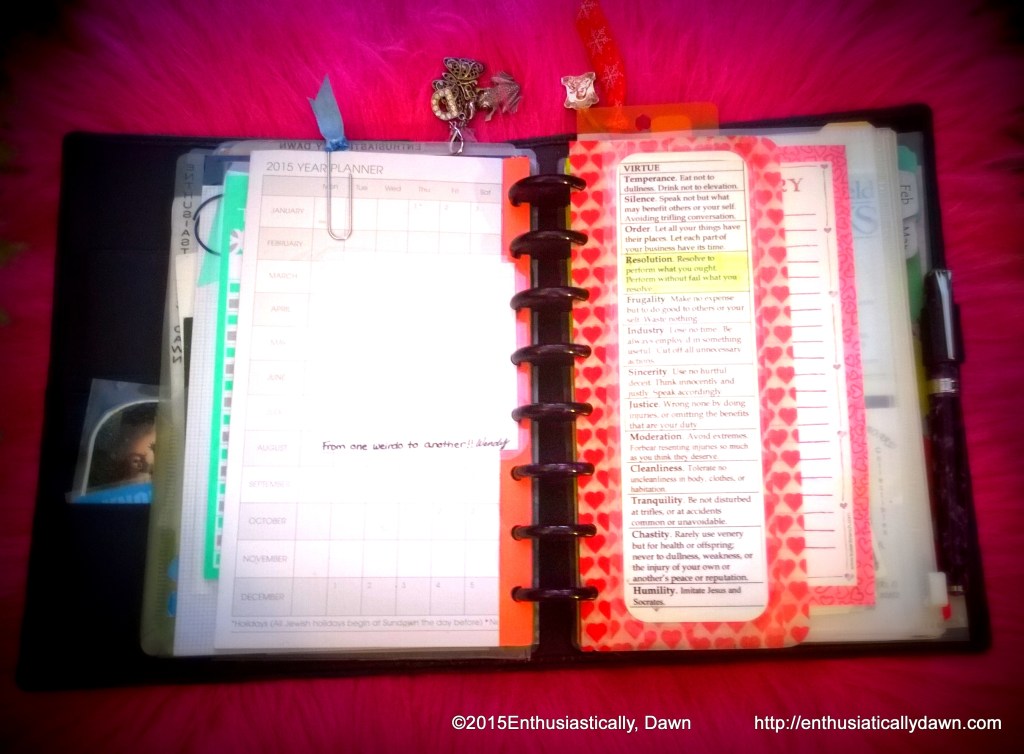 WP_20150209_12_34_45_Pro