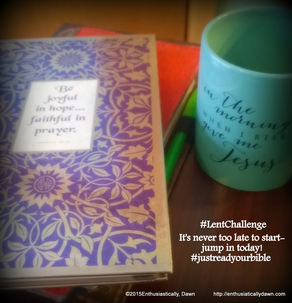 WP_20150228_13_24_05_Pro