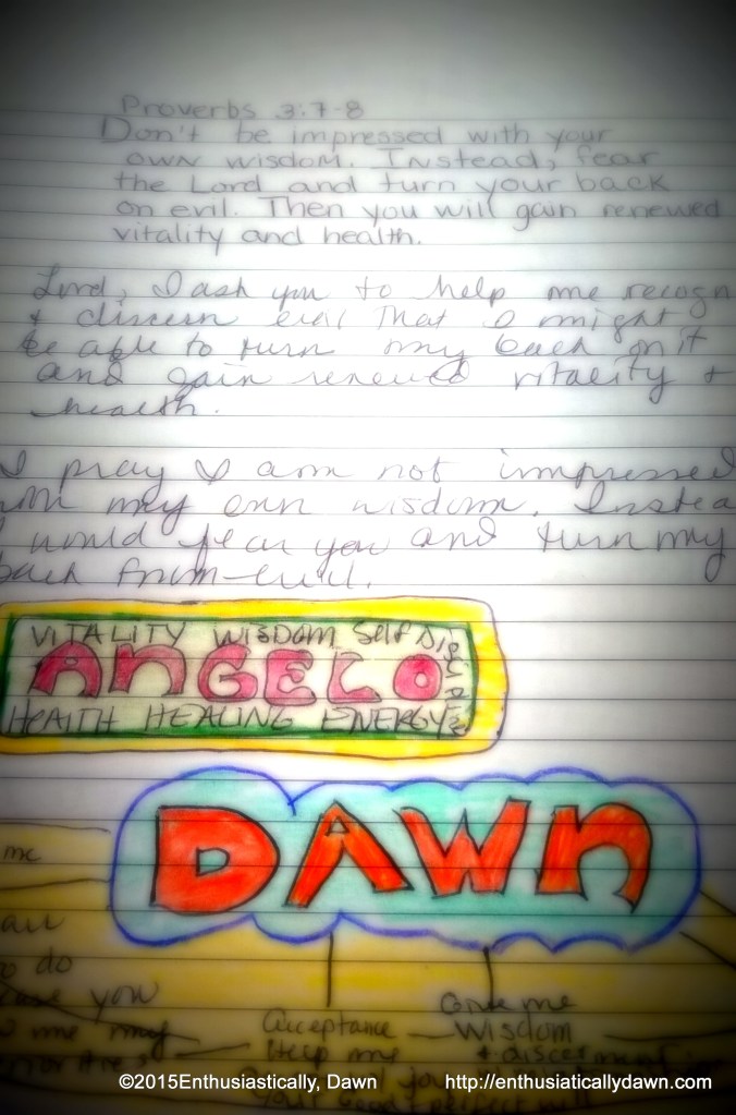 WP_20150308_09_22_46_Pro