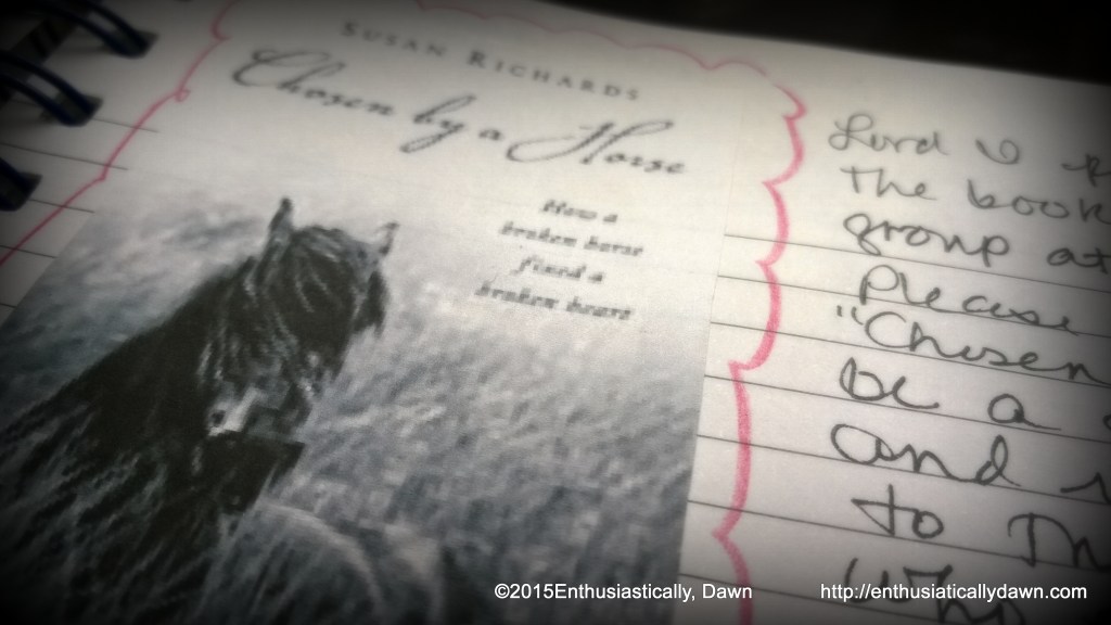 WP_20150308_09_37_10_Pro