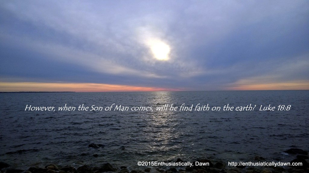 WP_20150320_07_43_53_Pro