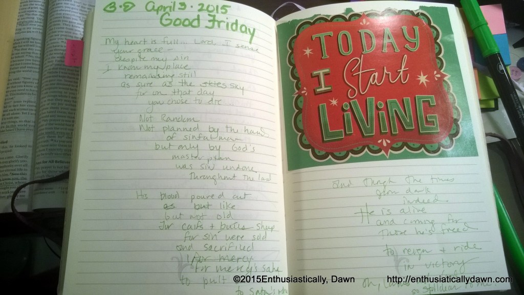 WP_20150403_10_52_19_Pro