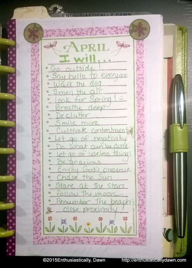 WP_20150413_09_07_13_Pro