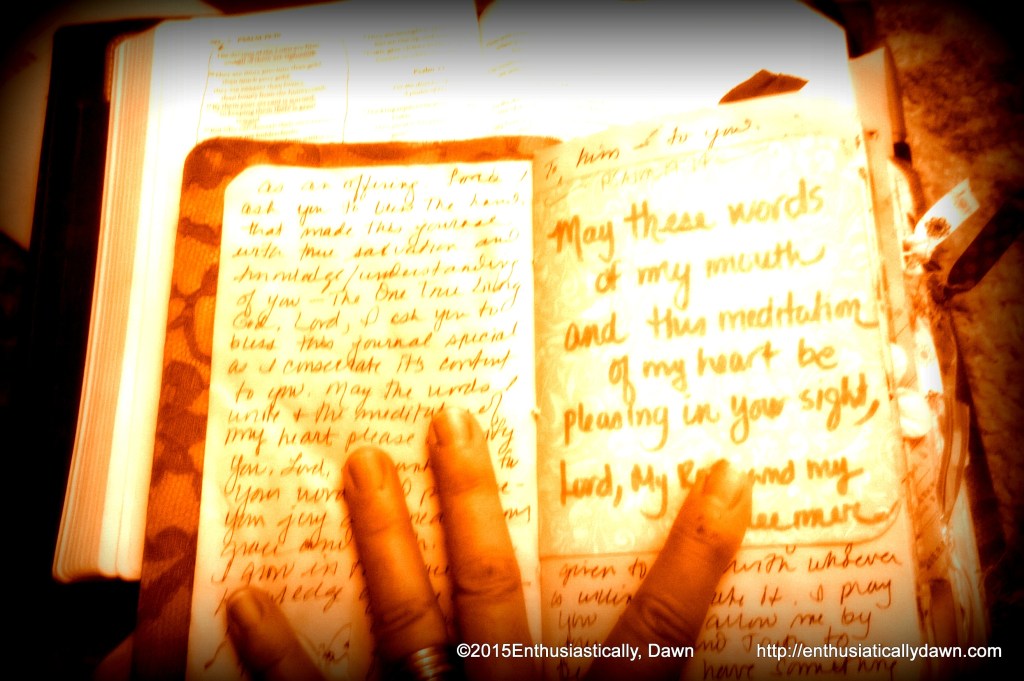 WP_20150503_22_04_19_Pro