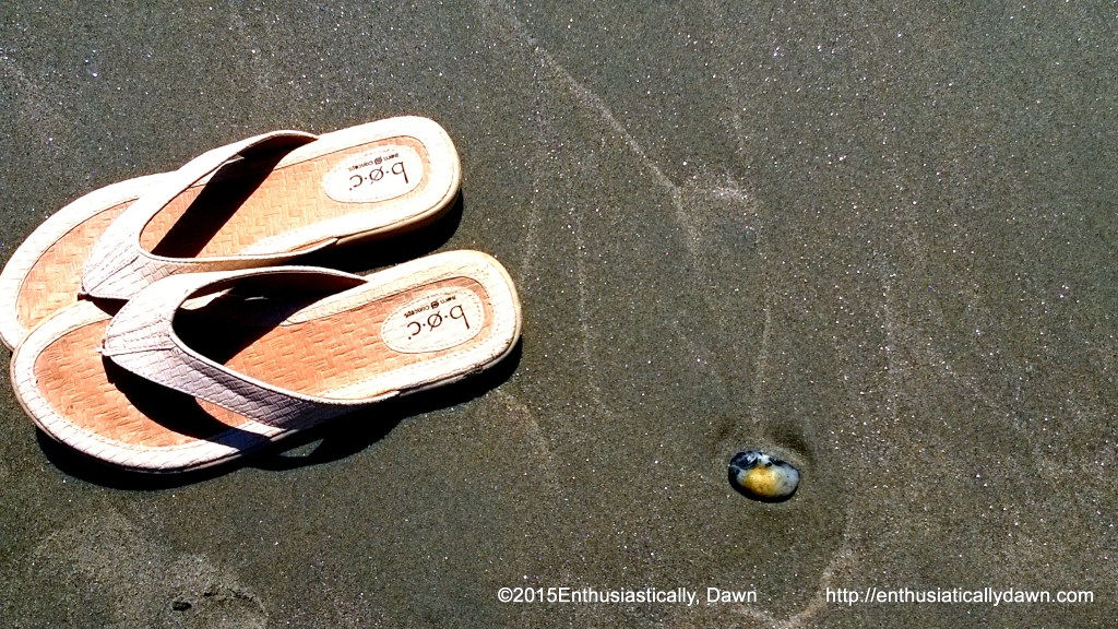 WP_20150508_11_51_13_Pro (1)