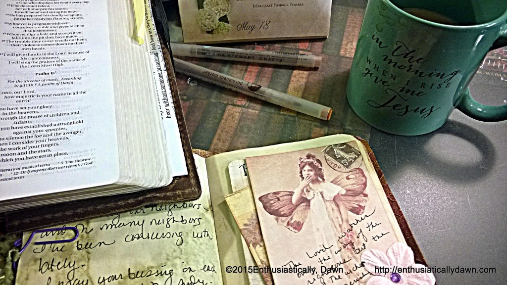 WP_20150518_08_48_44_Pro