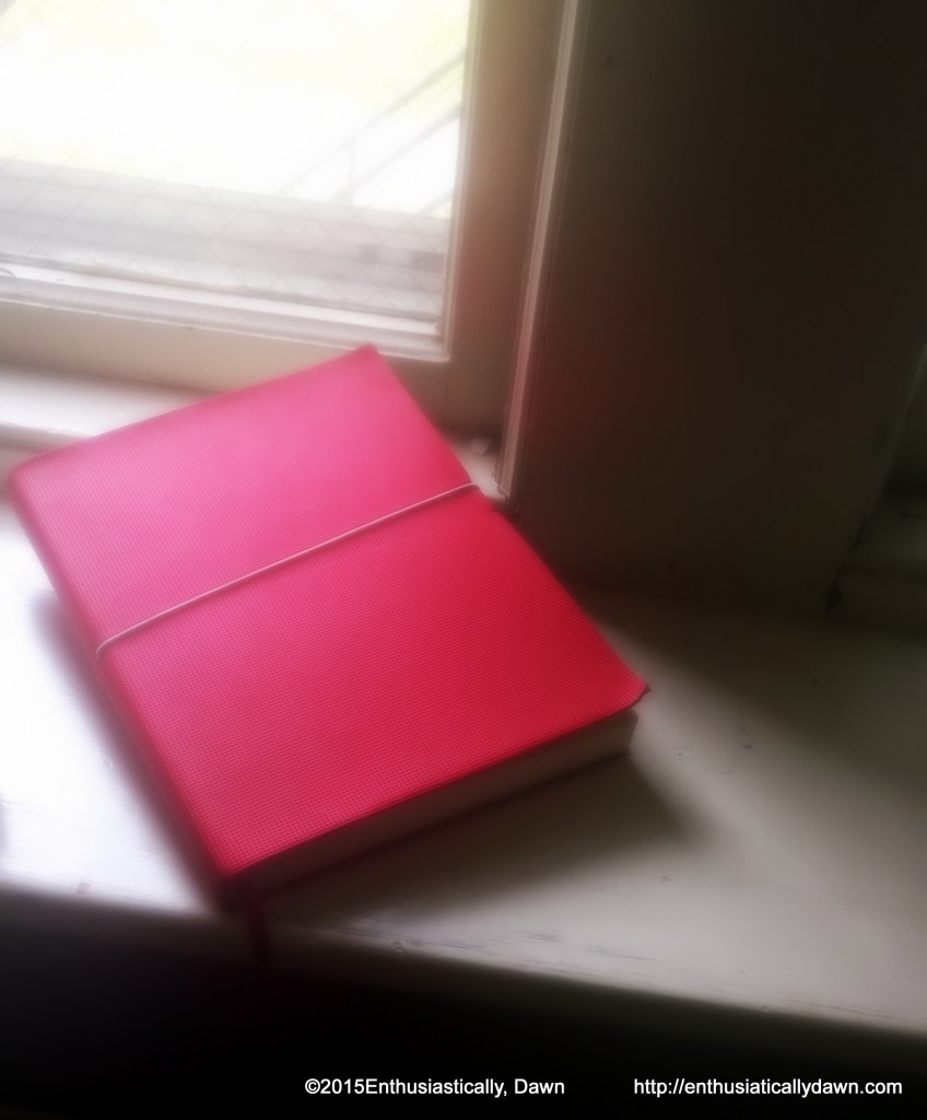 WP_20150528_10_03_31_Pro