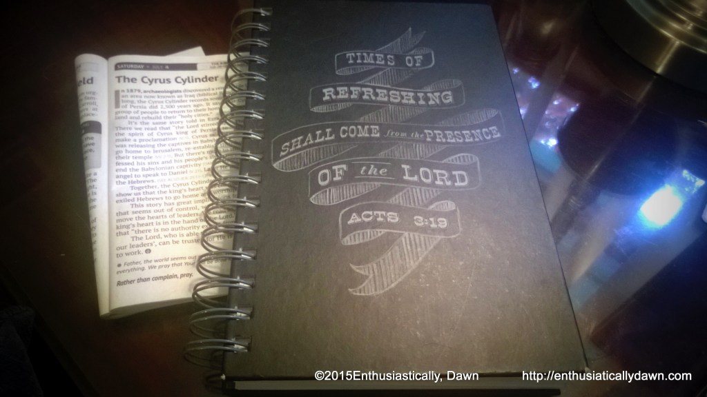 WP_20150704_09_39_57_Pro