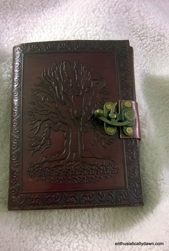 WP_20151006_22_33_35_Pro