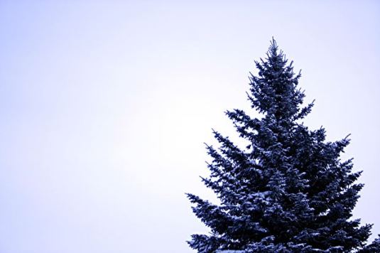 Image thanks to morguefile.com