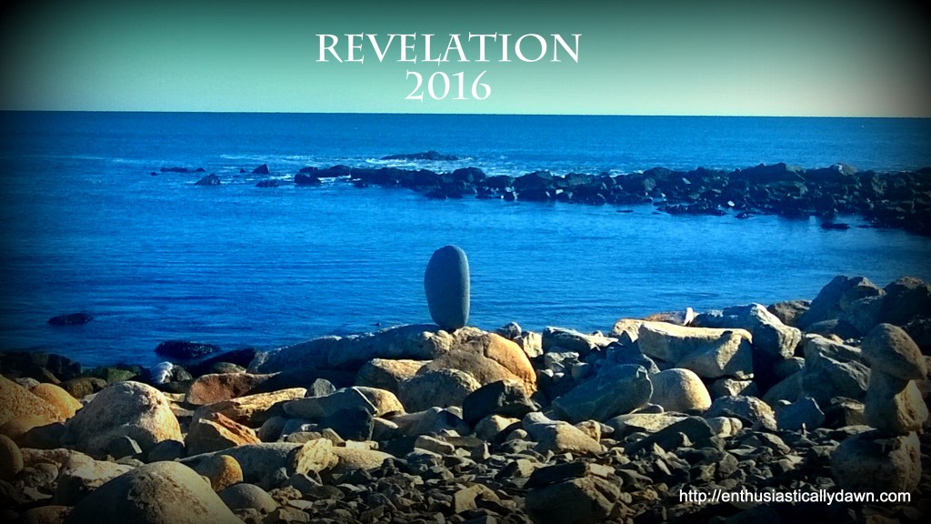 WP_20160106_11_46_25_Pro (1)l