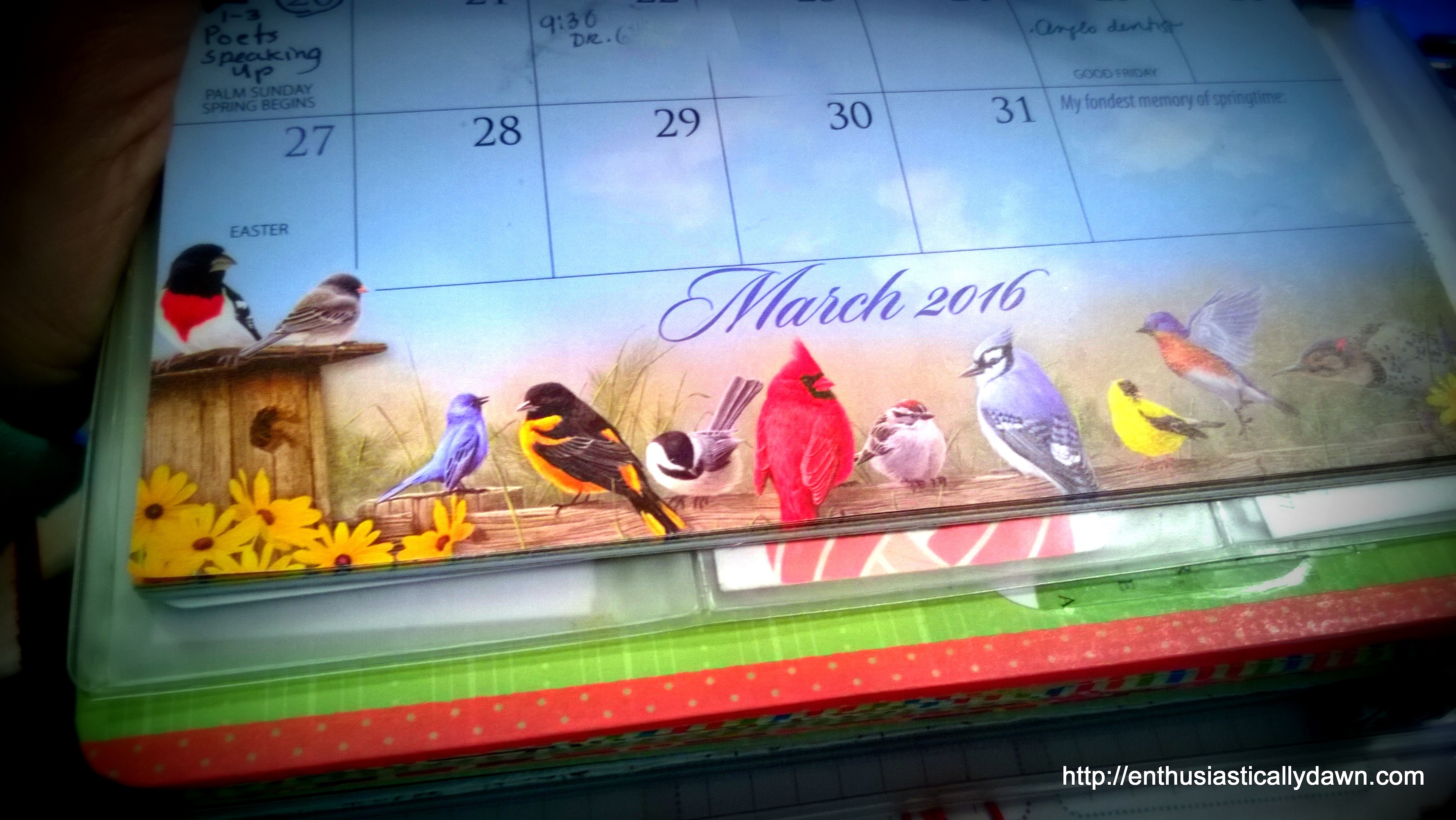 WP_20160307_07_02_16_Pro-001