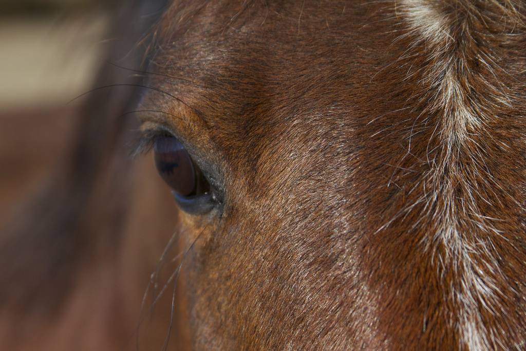 5518799630_c109637098_b