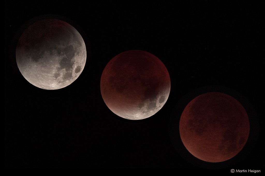 21768587036_73bcc2b233_b