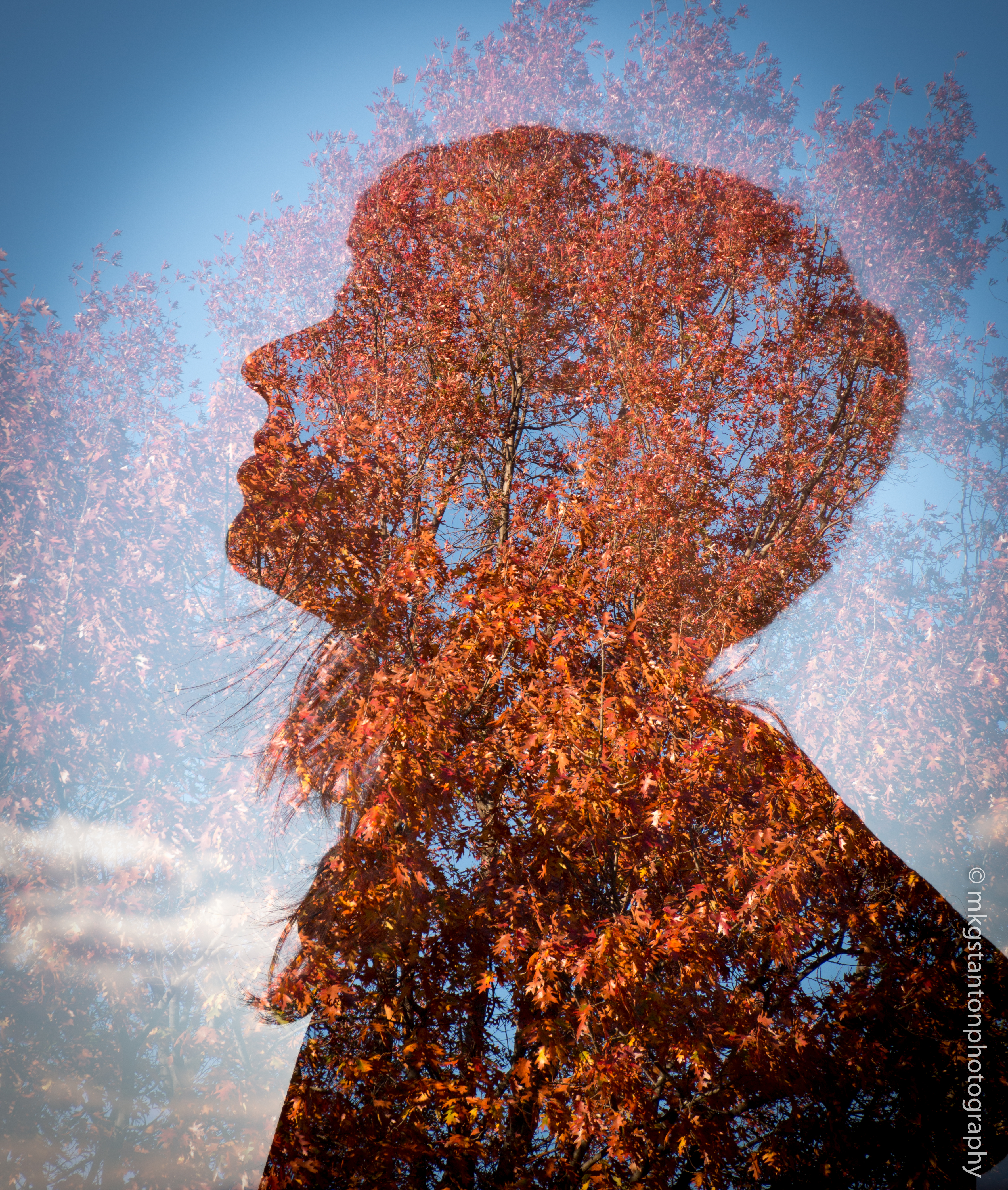 22494243509_f86028ae8b_o