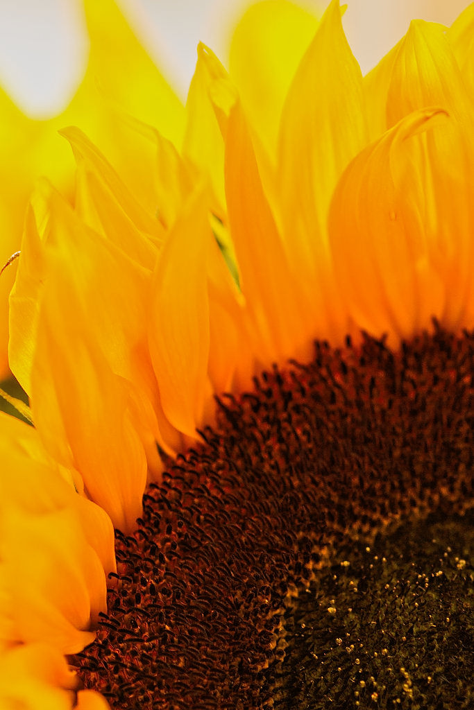 photo credit: brianfagan IMG_1393 via photopin (license)