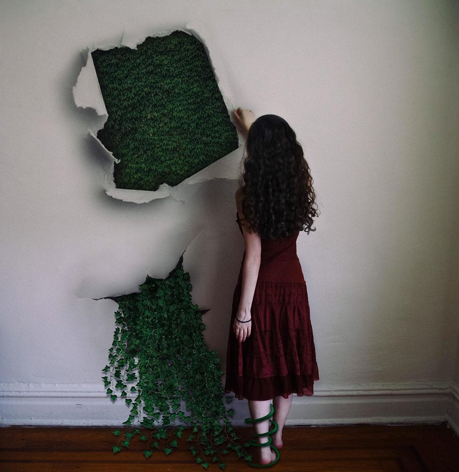 29211004623_4417575bba_b