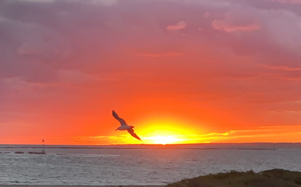 Remembering Katherine 10/9/2000-1/9/2021