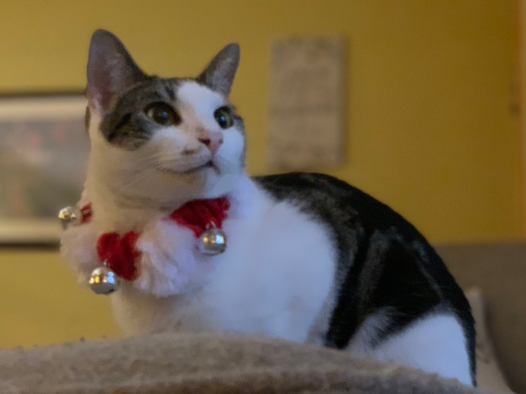 When God Wakes You Up To Your&nbsp;Joy