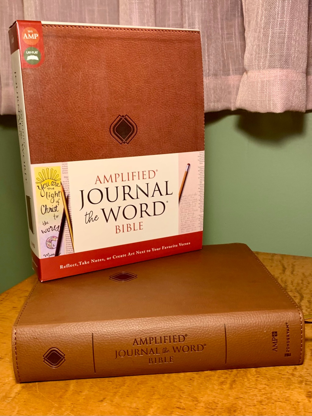 Journal the Word Bible Review
