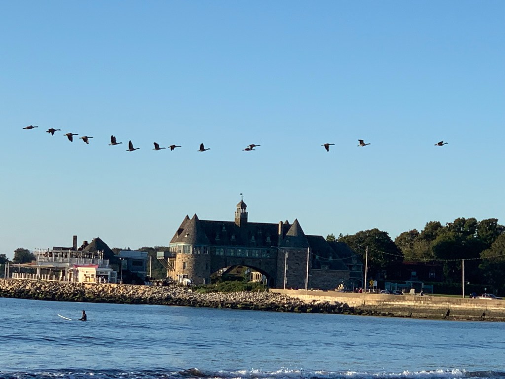 Meanwhile in Narragansett…