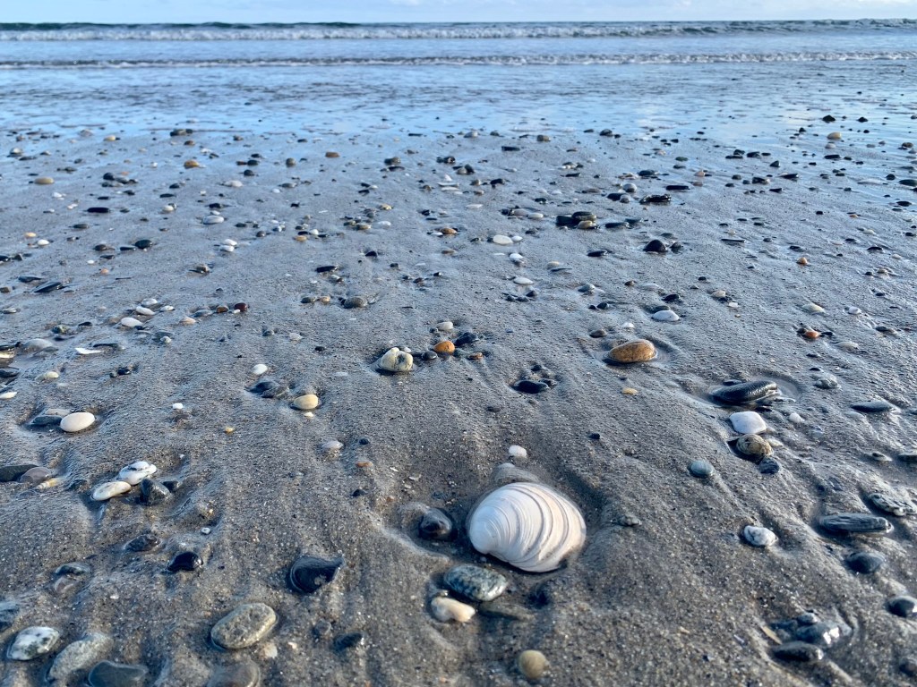 At the Beach (Day&nbsp;2)