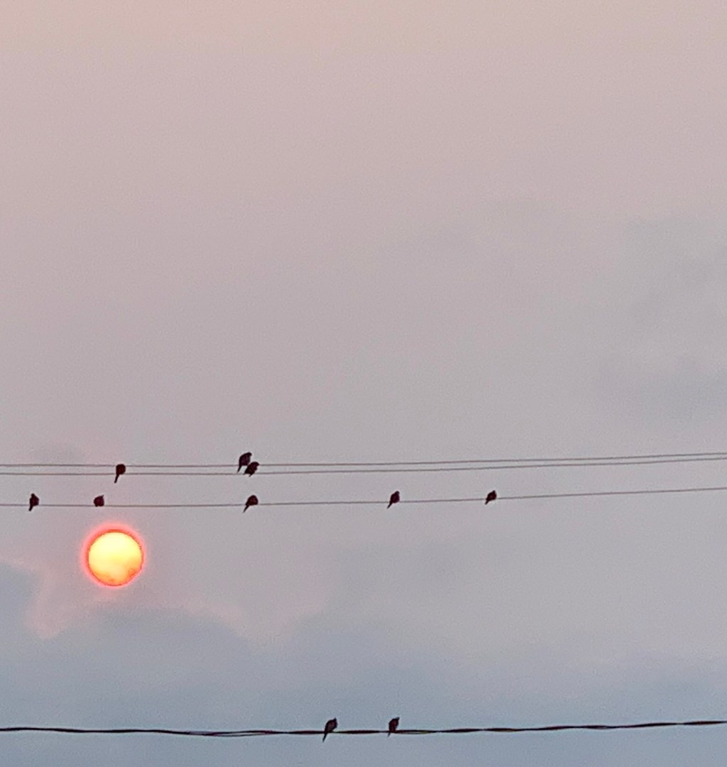 Is it Over Yet? (Day&nbsp;15)