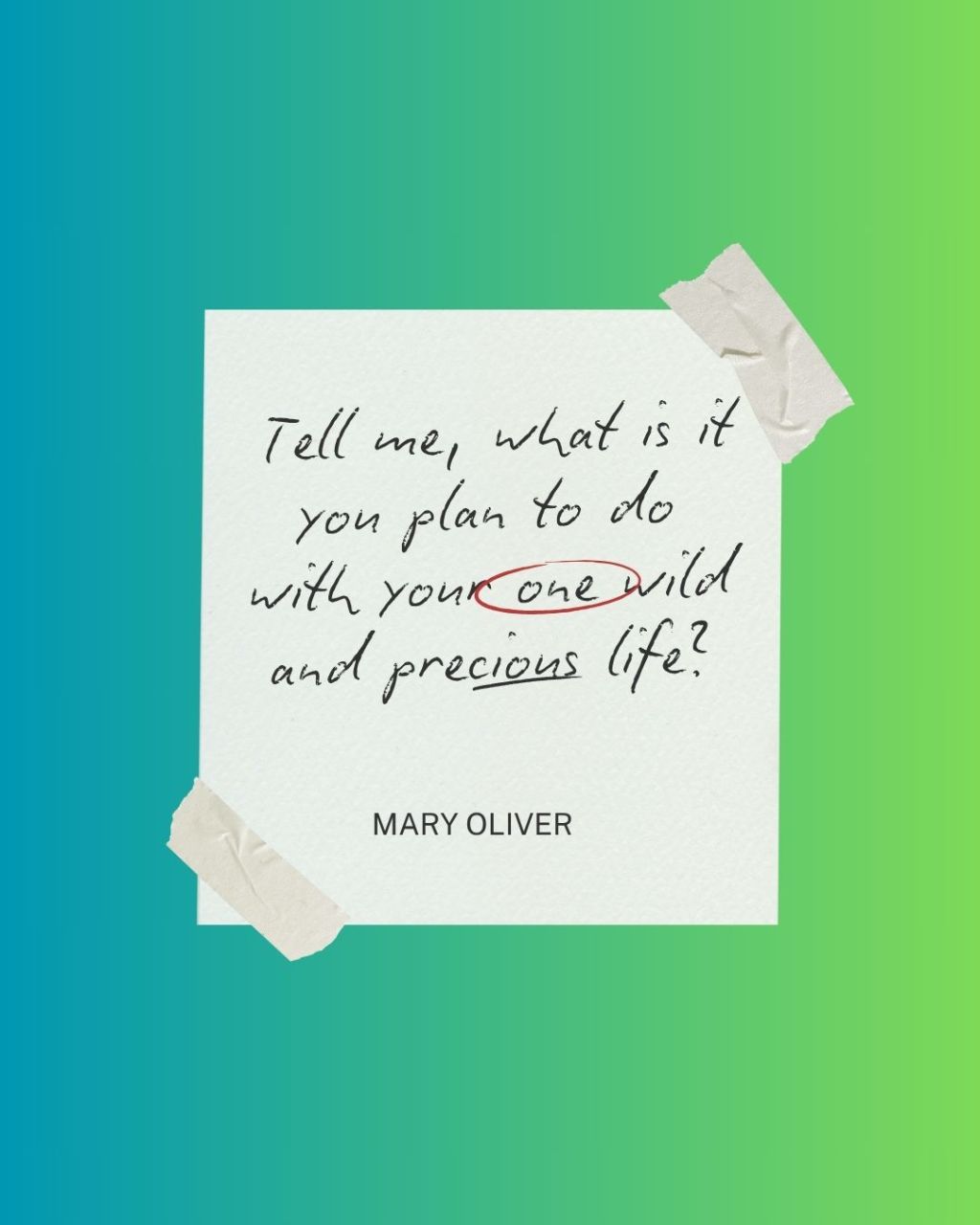 SJP 13 Mid-Year Check In Part One:&nbsp;Planner