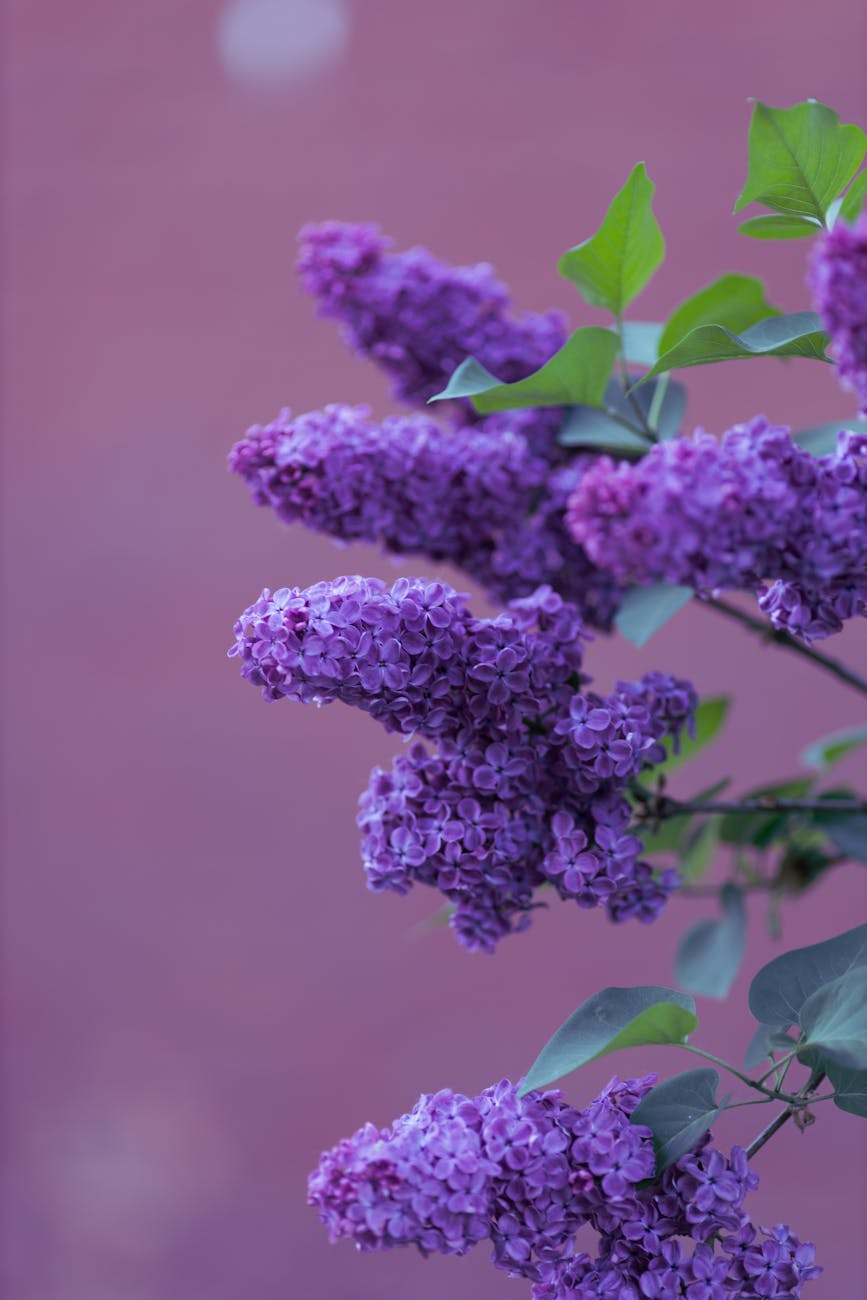 A Poem for National Poetry&nbsp;Month